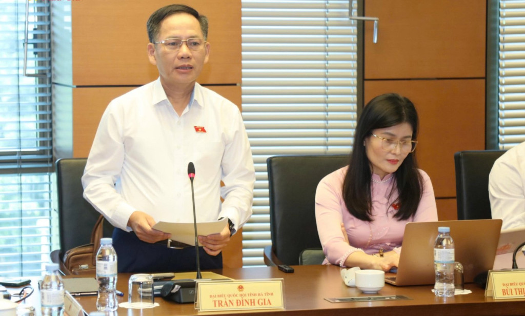 ĐBQH Trần Đình Gia (Hà Tĩnh) phát biểu