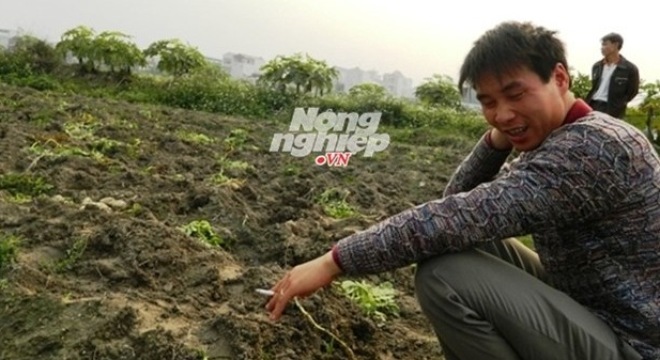 1-pham-20van-20cuong-1422585684409-53-0-390-660-crop-1422585903540