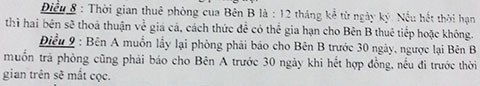 12-box mede