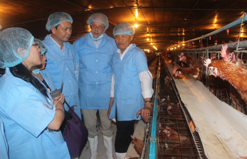 150089928068731-img 8386