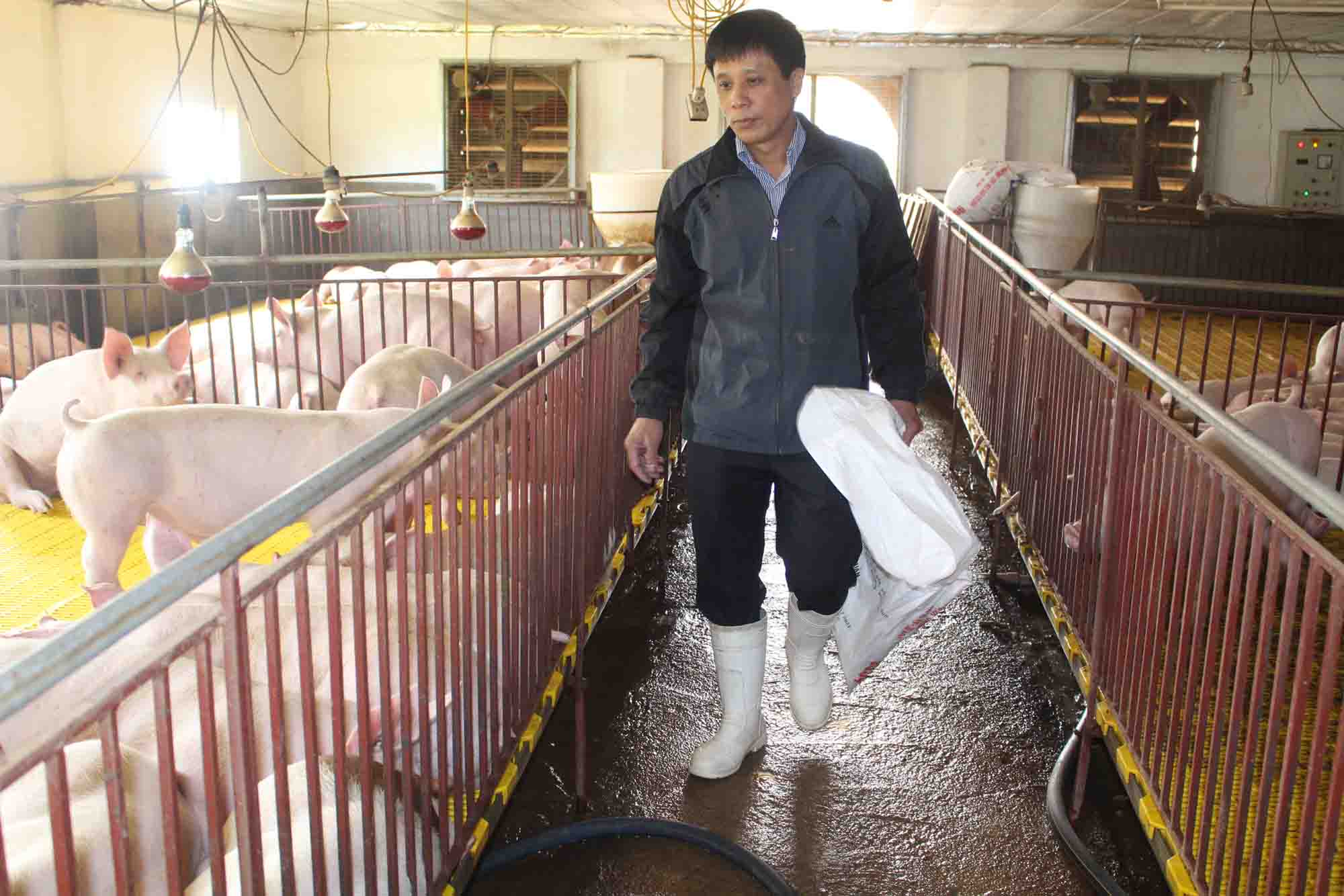 150091616323909-ong-tuat