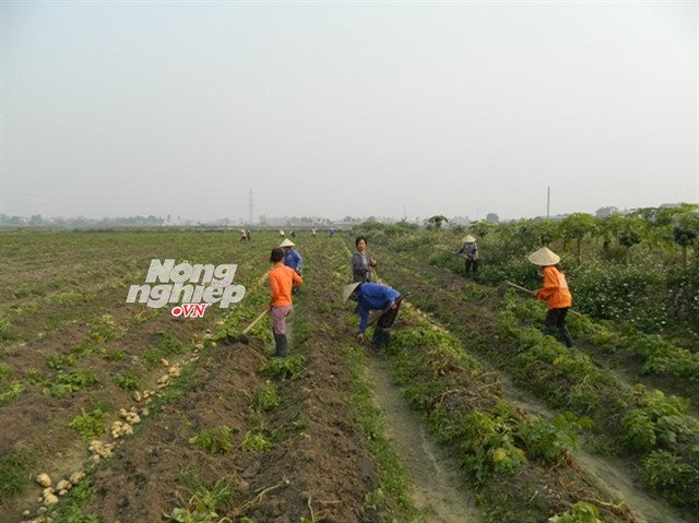 2-nguoi-20dan-1422585683199