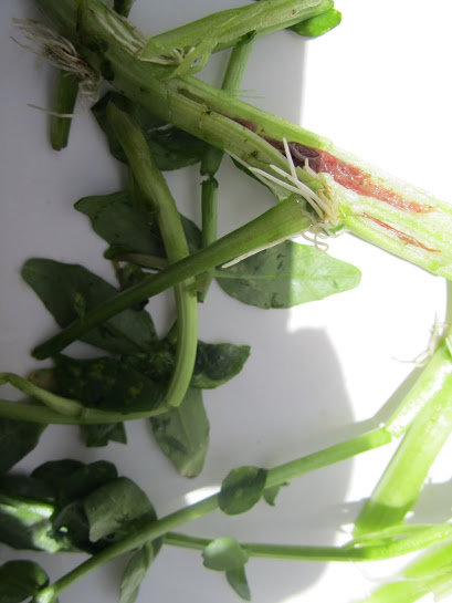 20140220175939-anh-1