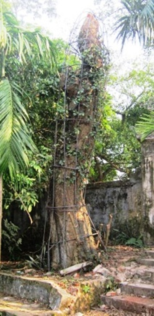 bao-ve-phuchinh1