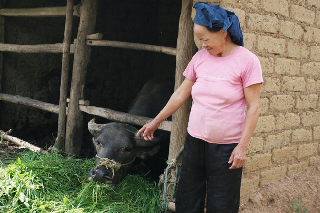 bi-an-nhung-vu-trau-bi-trom-xe-thit-trong-dem-3