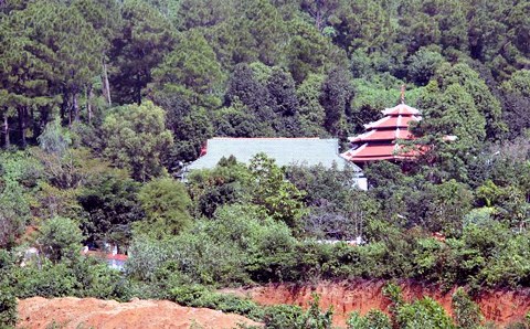 biet phu cua dai gia vang 1 pald