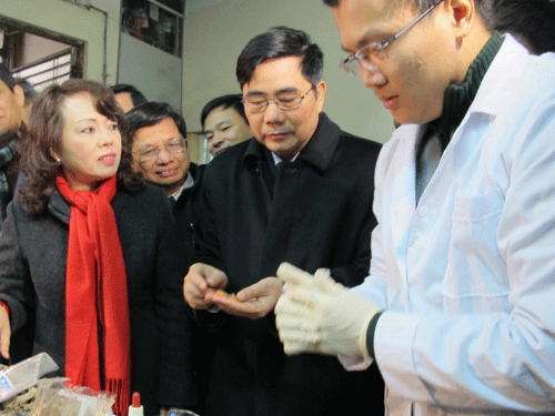 bo truong