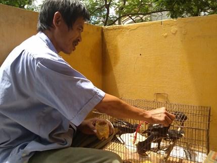 chuyen-cha-con-mang-chon-rung-di-thi-datviet.vn 3179259