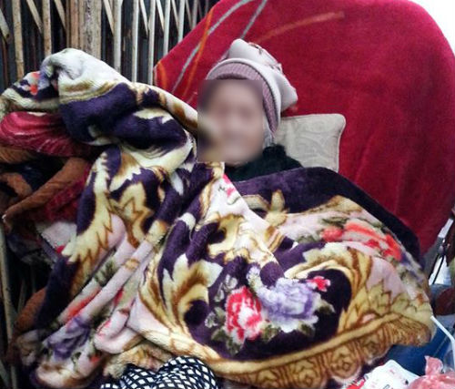 cu-ba-bi-be-ra-duong-trong-mua-ret-tinmoi