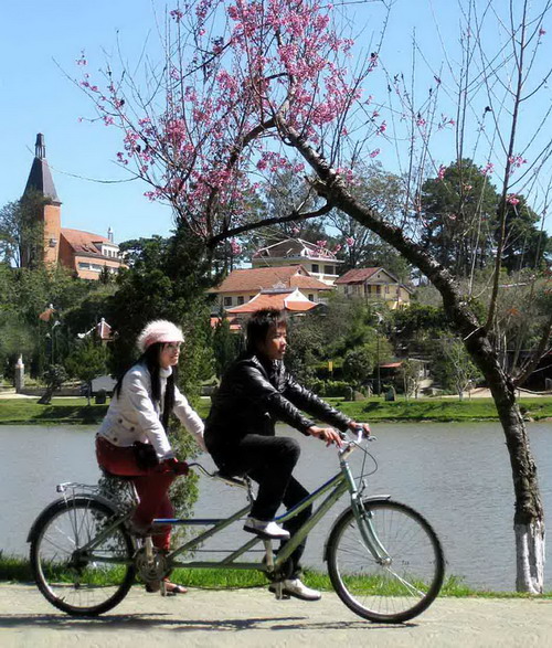 dalat10