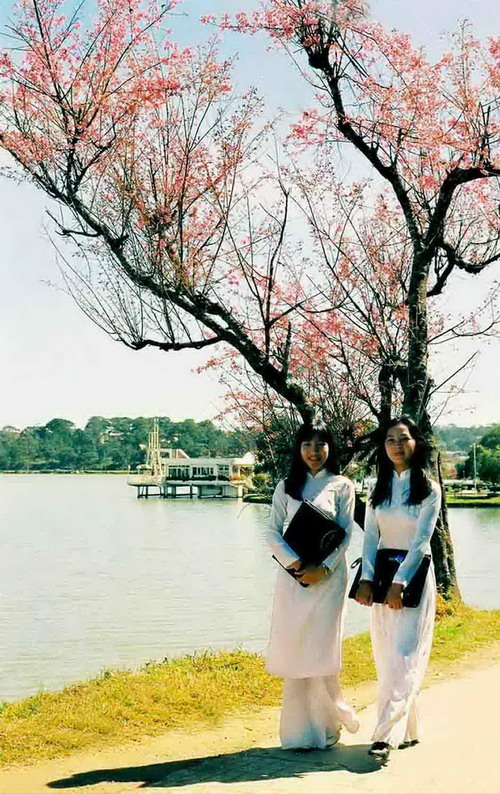 dalat11