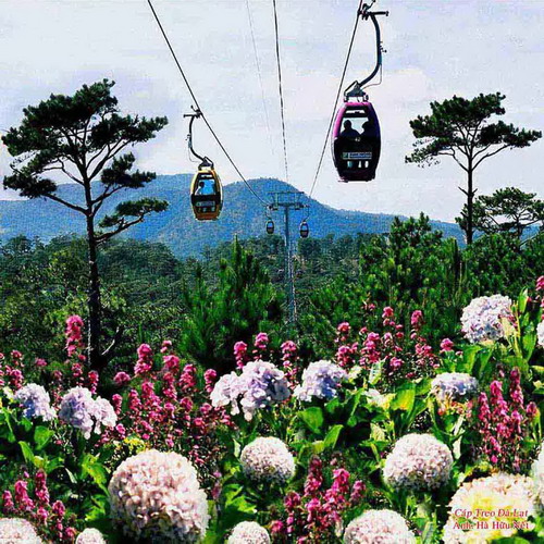 dalat3