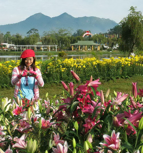 dalat4