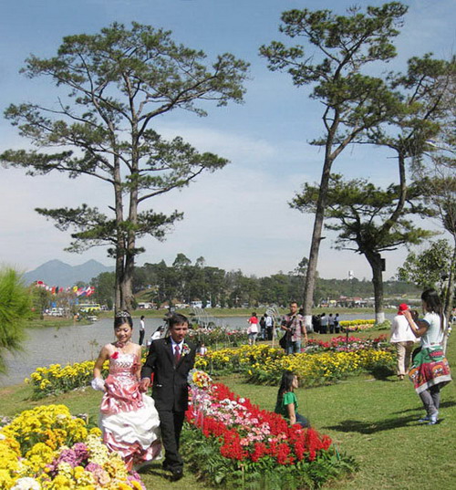 dalat5
