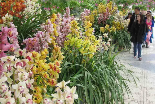 dalat7