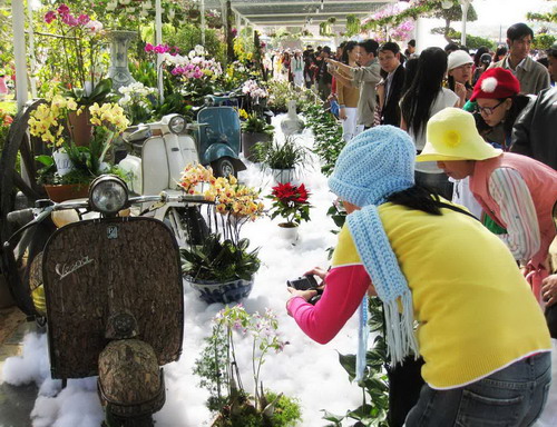 dalat8
