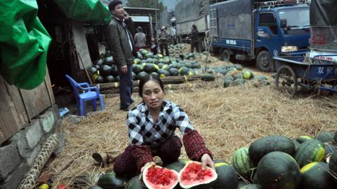 dua-hau-viet-nam-baodatviet.vn 22939462