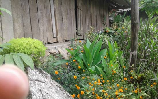 image004-diem-truong