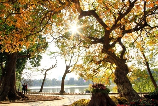 images1877876 nang am