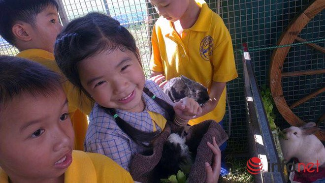 Infonet khai giang Uc