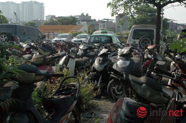 infonet  khoi kien 1 1