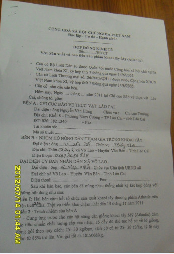 Khoai1