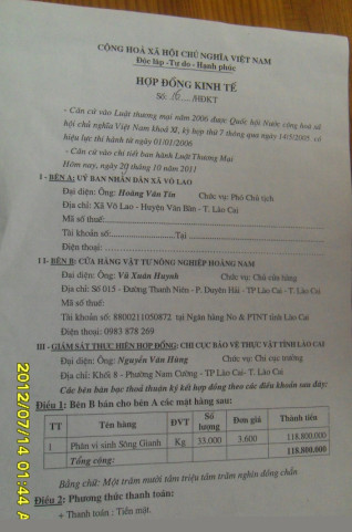Khoai2