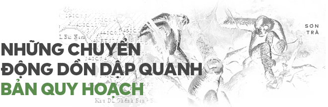 Bức ảnh xấu xí gây chấn động, 12.000 chữ ký và cuộc giải cứu chưa hồi kết ở Sơn Trà - Ảnh 6.