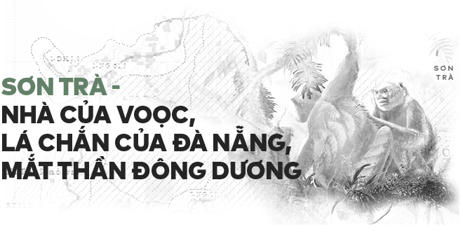Bức ảnh xấu xí gây chấn động, 12.000 chữ ký và cuộc giải cứu chưa hồi kết ở Sơn Trà - Ảnh 9.