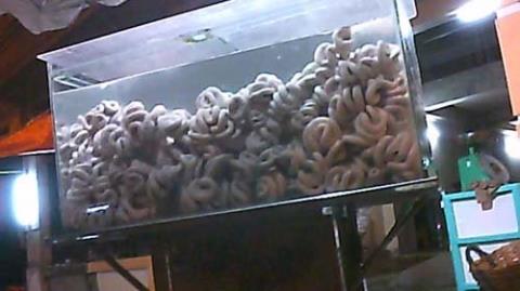 long-heo-thoi 1623292