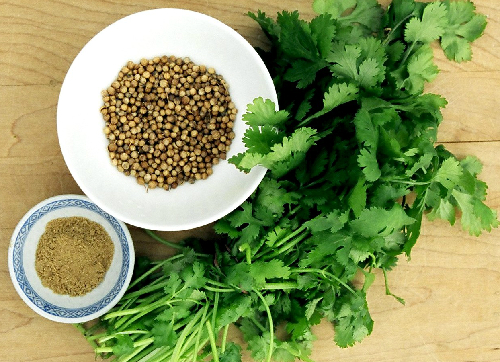 nhung-bai-thuoc-dan-gian-phong-va-dieu-tri-soi-cho-tre-1