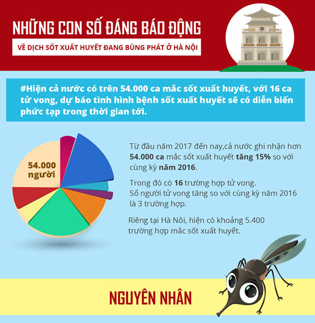 nhung-con-so-dang-bao-dong-ve-dich-sot-xuat-huyet-dang-bung-phat-voi-nhieu-bien-chung-nguy-hiem-1-1500944879-width640height656