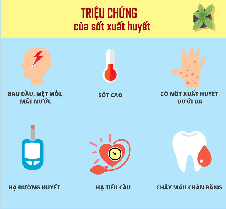 nhung-con-so-dang-bao-dong-ve-dich-sot-xuat-huyet-dang-bung-phat-voi-nhieu-bien-chung-nguy-hiem-3-1500944879-width960height888