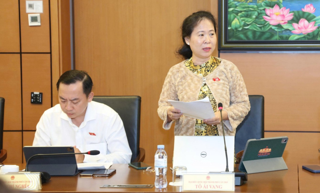 ĐBQH Tô Ái Vang (Cần Thơ) phát biểu