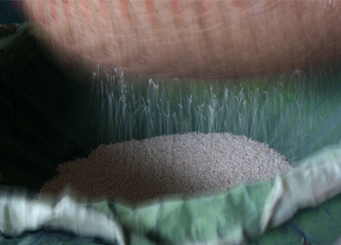 Sen6