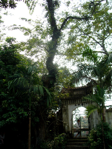 sua - phu- chinh