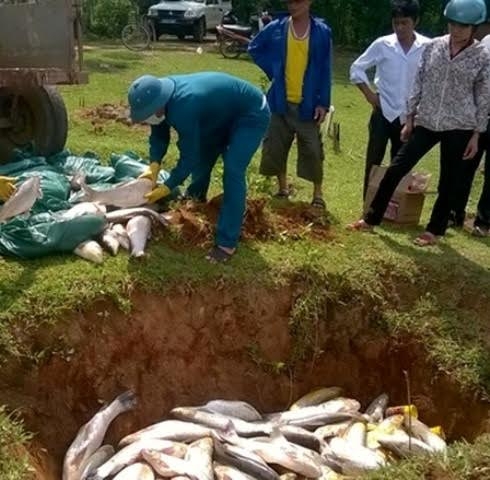 thanh-hoa-ca-lai-tiep-tuc-chet-tren-ha-nguon-song-buoi-11-091942