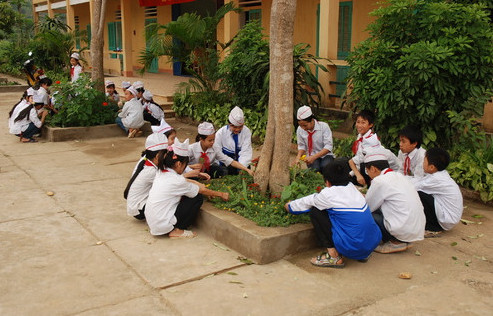 vinh tuy2