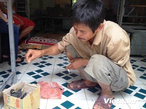 vnp duacondithi.jpgvnp duacondithi pwet