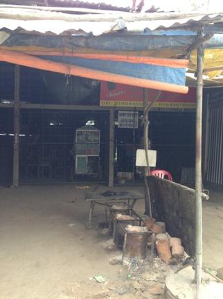 vu-con-ruoi-nua-ty-ma-oi-sao-tet-ma-ba-khong-ve 1