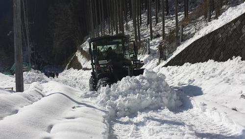 Nhật Bản: Bà chúa tuyết đoạt mạng 23 người