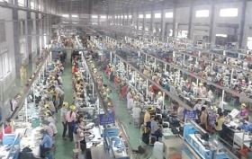 Bi hài cử nhân giấu bằng, xin làm công nhân: Quan trọng là phải biết... chửi nhau