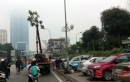 Hà Nội sẽ trồng thay thế những cây gỗ mỡ trên đường Nguyễn Chí Thanh