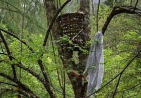 Huyền bí ‘rừng ma’ treo thi hài trẻ con ở Cao Bằng