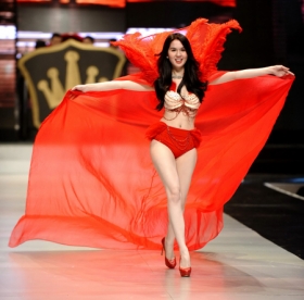 Cấp chứng chỉ hành nghề cho ca sĩ, người mẫu: Bộ nhiệt tình, nghệ sĩ băn khoăn