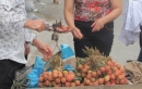 Quả vải Trung Quốc tràn vào Việt Nam, bán gần chục tấn/ngày ở Lạng Sơn