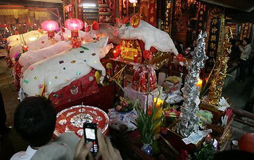 Lễ hội rước lợn độc nhất vô nhị