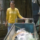 Người mua ve chai nhặt được 5 triệu Yen: Củng cố lại chứng cứ