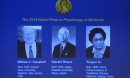 Nobel Y học 2015 cho thuốc chống sốt rét, chống giun gây mù mắt