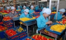 Môi trường đầu tư Việt Nam “xuống dốc”